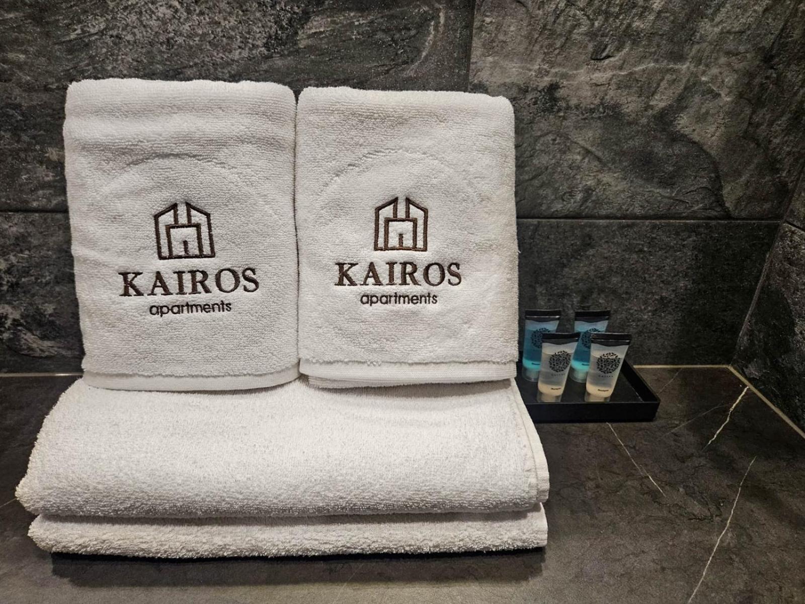 Kairos Apartments -Tower II Premium - Darmowy Parking, Silownia, Sauna - Scisle Centrum 卡托维兹 外观 照片